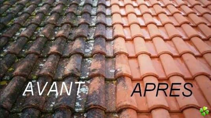 Traitement anti-mousse toiture — avant et apr&egrave;s