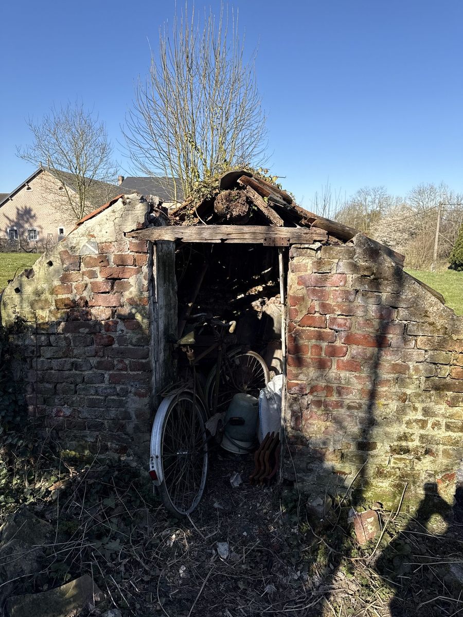 Cabanon avant travaux — toiture délabrée, tuiles cassées
