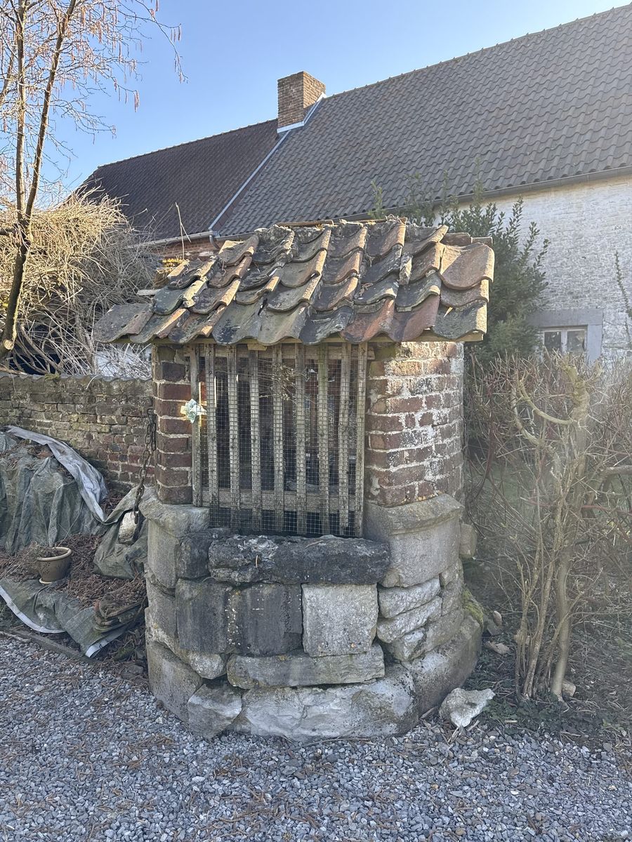 Puits avant travaux — couverture effondrée, végétation envahissante